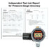 HVLP Spray Gun Air Regulator with Automatic Digital Pressure Gauge and Diaphragm Control - Tool Guy Republic