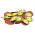 50pcs - 2 inch 50 Grit “Roloc” Type Abrasive Sanding Discs - Tool Guy Republic