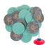 3 inch 36 Grit Zirconia “Roloc” Roll-On Type Abrasive Sanding Discs (25 pcs) with Holder